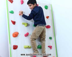 Occupational Therapy